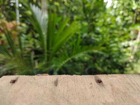 Tabletop with blurred nature background Foto stock
