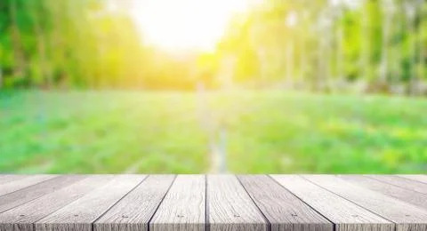 Tabletop with burred nature background Stock Photos
