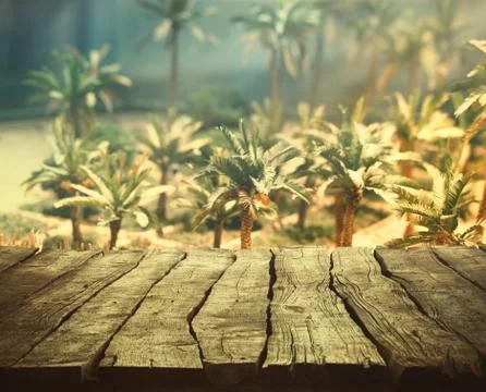 Tabletop with palm trees. Summer background with wooden planks and palms in t Stock Photos