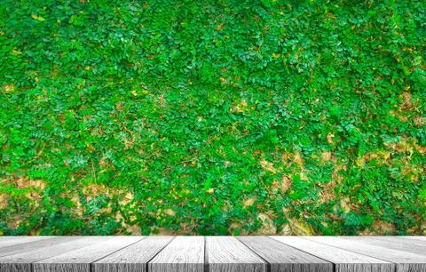 Tabletop with plant background Stock Photos
