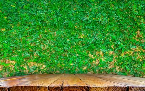 Tabletop with plant background Stock Photos