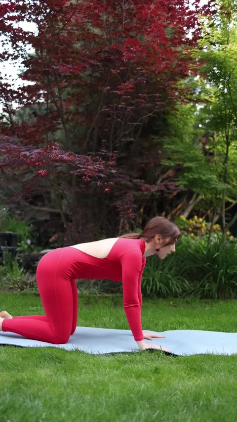 Tabletop pose and daily discipline Stock-Footage 336528628