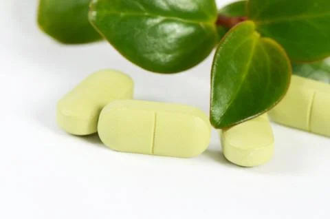 Tablets with a plant close up Stock Photos