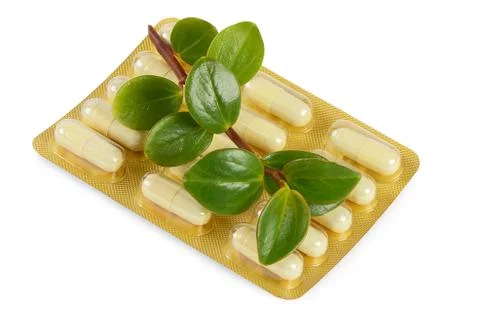 Tablets with a plant close up Stock Photos