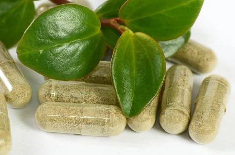 Tablets with a plant close up 스톡 사진