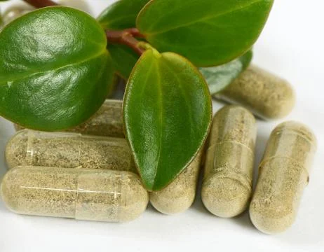 Tablets with a plant close up Stock Photos