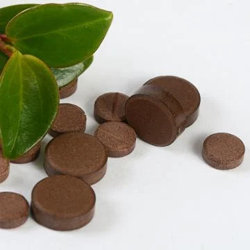Tablets with a plant close up Stock Photos