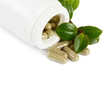 Tablets with a plant close up Stock Photos