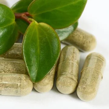 Tablets with a plant close up Stock Photos
