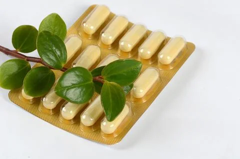 Tablets with a plant close up Stock Photos