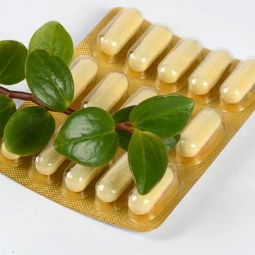 Tablets with a plant close up Stock Photos