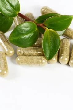 Tablets with a plant close up Foto stock