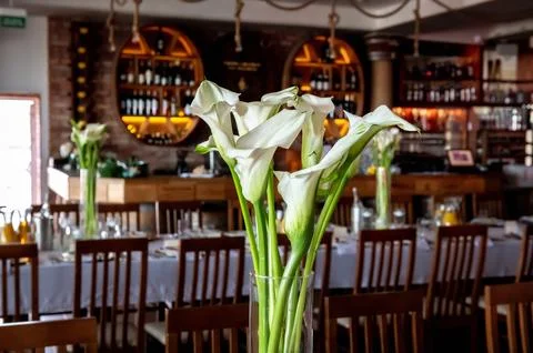 Tableware and table decorations at celebrations Foto stock