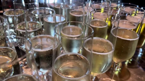 Tableware filled with alcoholic beverage, glasses holding liquid Stock-Footage 268034282