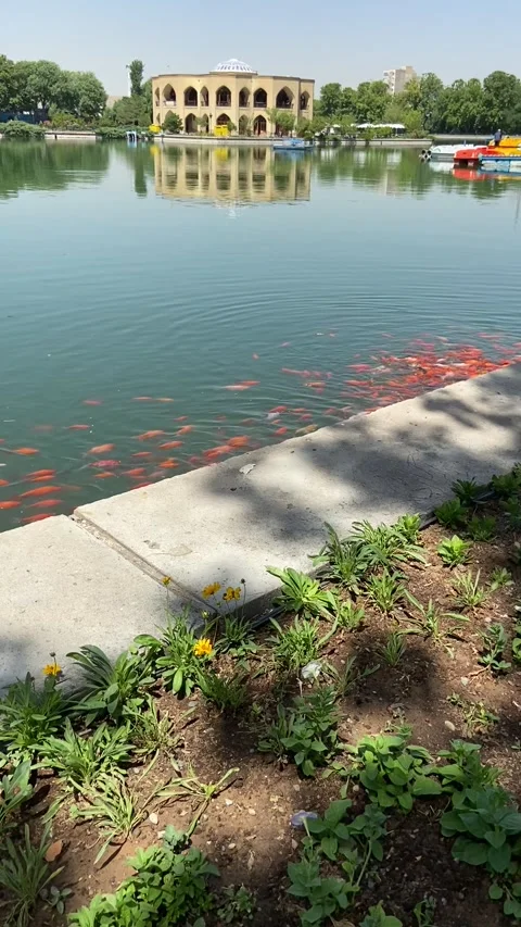 Tabriz El Goli 库存影片 202318828