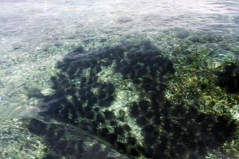 Tabuhan Island Stock Photos