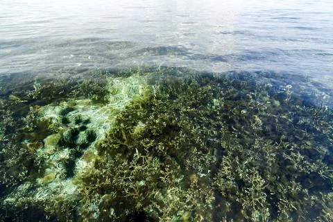 Tabuhan Island Stock Photos
