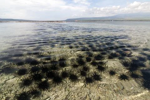 Tabuhan Island Stock Photos