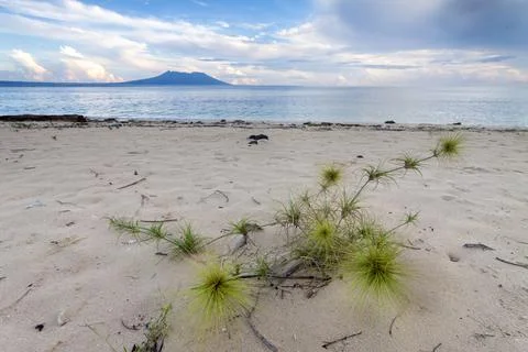 Tabuhan Island Stock Photos