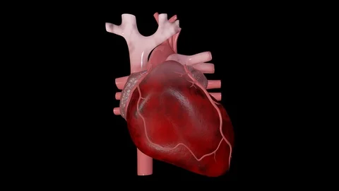 Tachycardia 動画素材 122026236