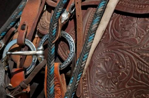 Tack and Leather Stock Photos