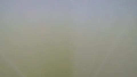 Tackle on predatory fish, underwater Stock Footage 113665824