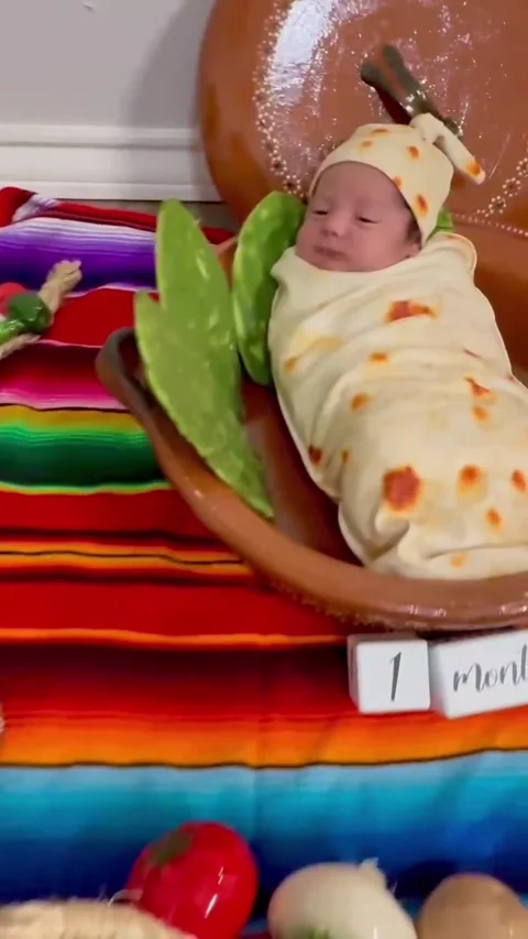 Taco-Bout Adorable Stock Footage 317107073