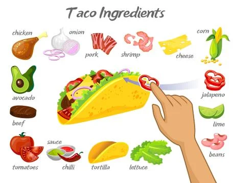 Taco constructor with different ingredients Stockillustratie