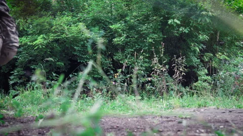 Tactical group of special forces moving on the road in the woods. View from the Stock-Footage 92033014