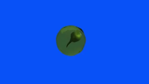 Tadpole Egg over Blue Screen Background 库存影片 340933108