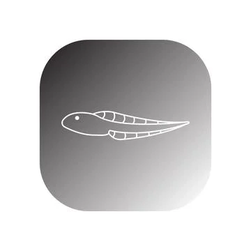 Tadpole icon vector Illustrazione stock