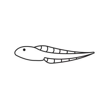Tadpole icon vector Illustrazione stock