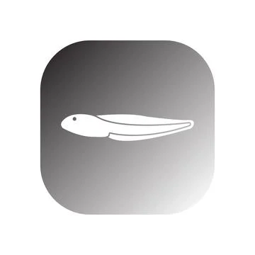 Tadpole icon vector Stock Illustration
