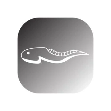 Tadpole icon vector Illustrazione stock