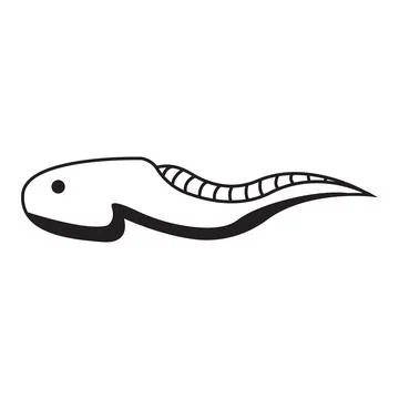 Tadpole icon vector Illustrazione stock