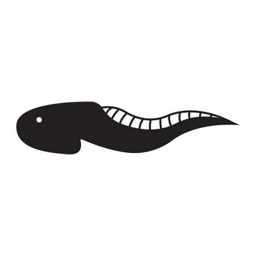 Tadpole icon vector Illustrazione stock
