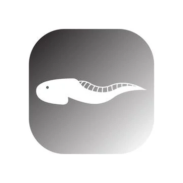 Tadpole icon vector Illustrazione stock