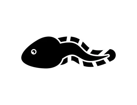 Tadpole isolated. Frog larva. Vector illustration Ilustración de archivo
