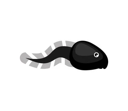Tadpole isolated. Frog larva. Vector illustration Stock Illustration