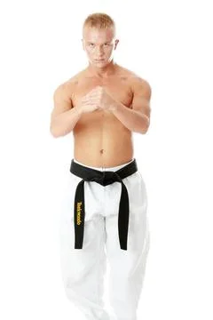 Taekwondo fighter Taekwondo fighter isolated on white background (License=... Stock Photos