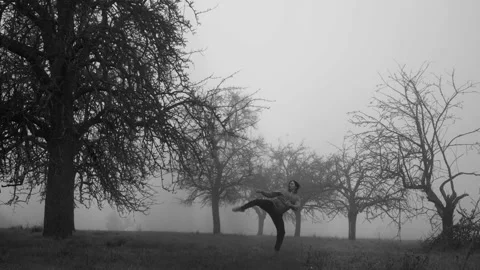 Taekwondo master is performing elegantly in a calm, misty landscape, beautifully Stock Footage 302654883