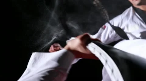 Taekwondo spinkick Stock Footage 10833106
