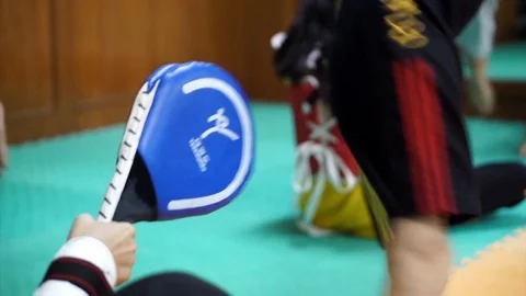 Taekwondo training Stock Footage 119498996