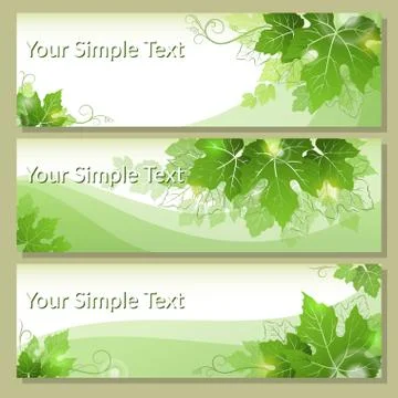 Tags with Grape Leaves Stock Illustration