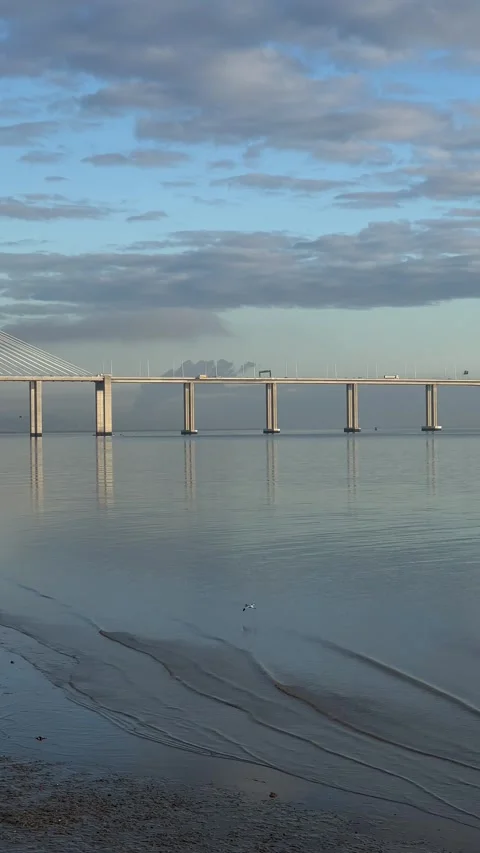 Tagus river and Vasco da Gama bridge at Nations Park in Lisbon. Vertical Stock Footage 241023622