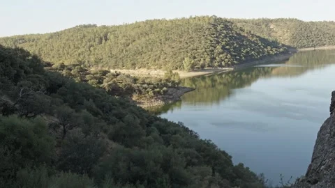 Tagus river flowing peacefully through forested green hills in Monfrague Ext Stock Footage 337926350