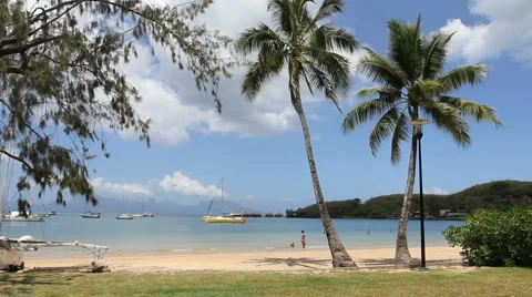 Tahiti beach with palms Stock Footage 2525234