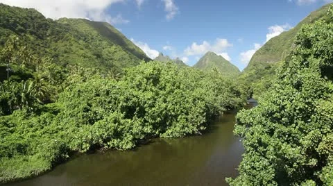 Tahiti Stock Footage 11239109