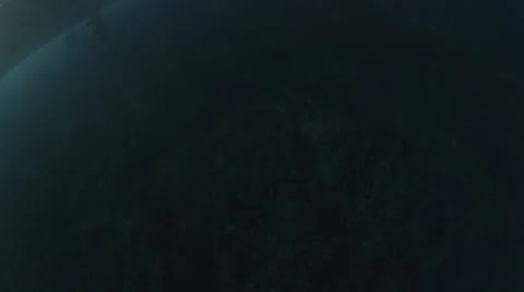 Tahiti underwater Stock Footage 44178410