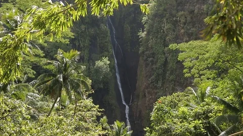 Tahiti Waterfall Stock-Footage 100983000
